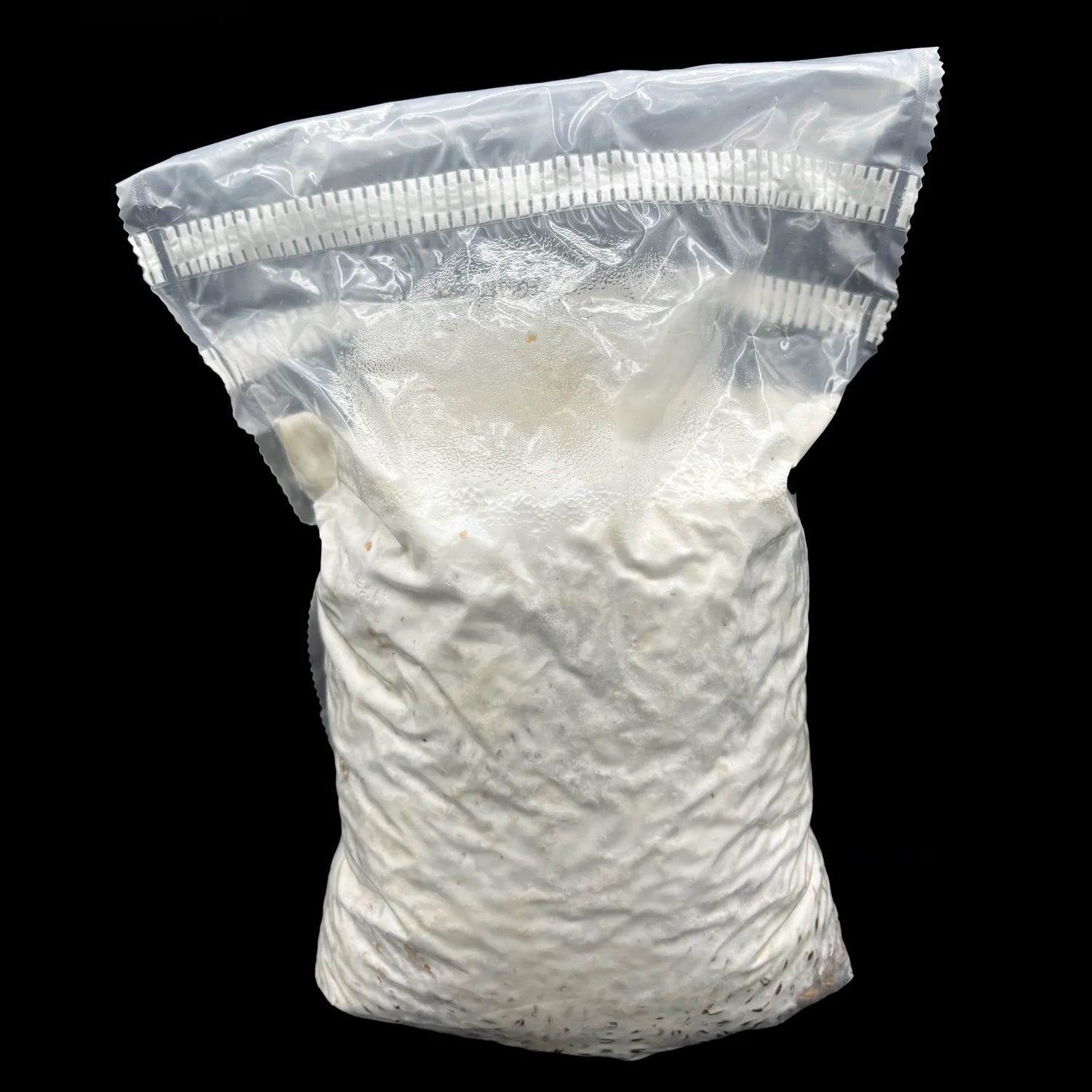 Mycelium på korn
