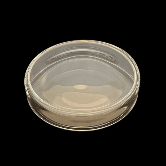 100mm. 3.3 borosilikatglas petriskål.