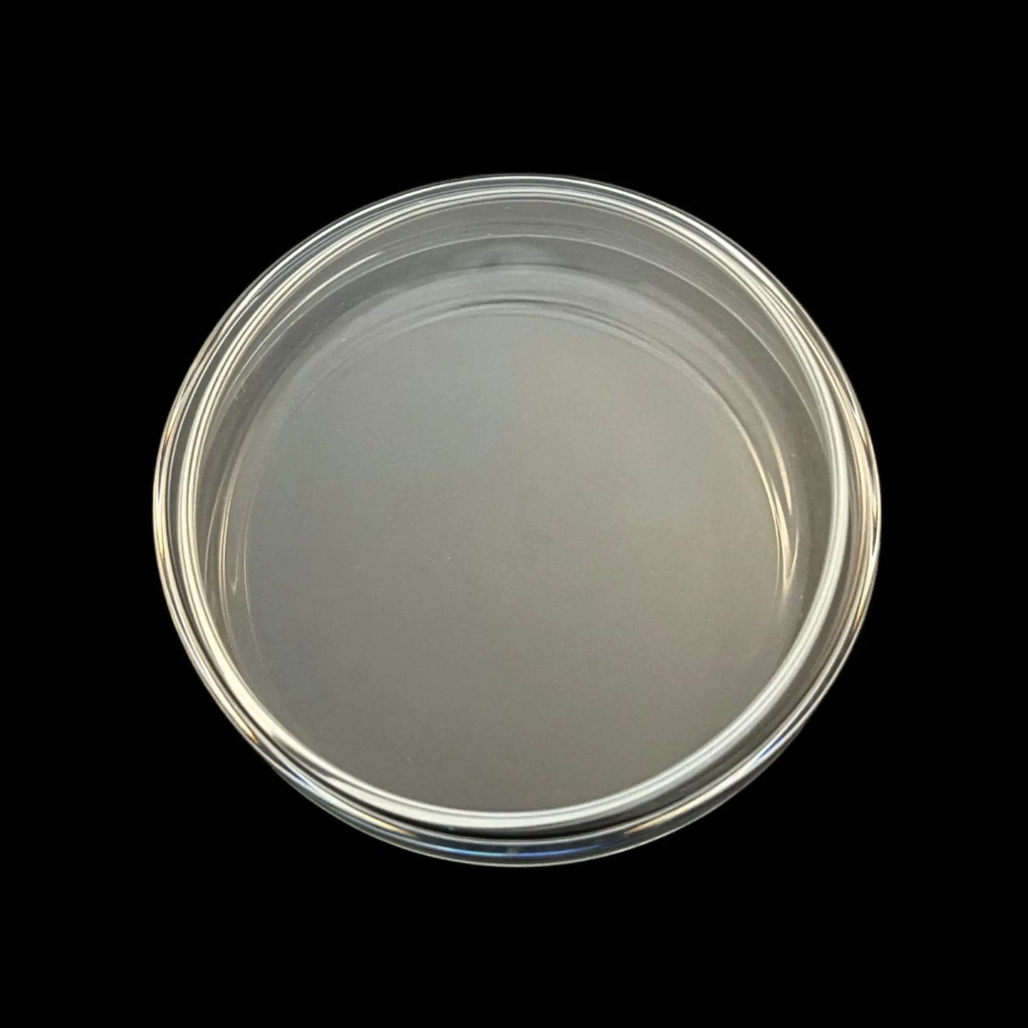 90mm. 3.3 borosilikatglas petriskål.